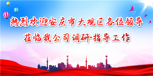 安慶市大觀區(qū)領(lǐng)導(dǎo)蒞臨我公司調(diào)研工作，為發(fā)展注入新動力